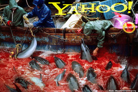 Bild der Petition: Stoppt den Verkauf von Wal und Delfinfleisch über Yahoo! - Japan !!