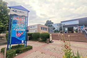 Bild der Petition: Stoppt die Abschaffung des Coburger Freibades!