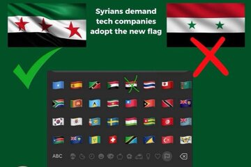 Bild der Petition Stoppt die Darstellung der alten syrischen Flagge auf digitalen Plattformen!