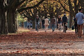 Photo de la pétition :Stoppt die Fällung von 19 Bäumen im Auer-Welsbach-Park