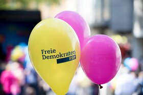 Bild der Petition: Stoppt die FDP Populisten
