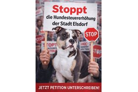 Image of the petition: Stoppt die Hundesteuererhöhung 2026 in Elsdorf – faire Behandlung für alle Hundehalter