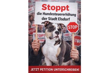 Bild der Petition Stoppt die Hundesteuererhöhung 2026 in Elsdorf – faire Behandlung für alle Hundehalter