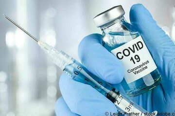 Bild der Petition Stoppt die Impfpflicht gegen Covid-19