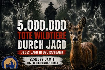 Billede af andragendet STOPPT DIE JAGD: Über 5 Millionen tote Wildtiere jedes Jahr