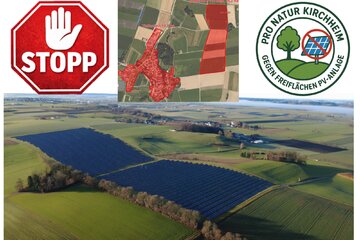 Bild der Petition Stoppt die PV-Freiflächenanlage in Tiefenried