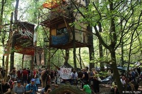 Bild på petitionen:Stoppt die Rodung des Hambacher Waldes