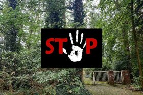 Малюнок петиції:Stoppt in Lohne das Vorhaben den Küstermeyerwald abzuholzen, um Parkplätze zu bauen