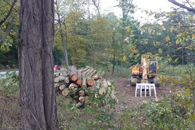 Foto da petição:STOPPT sinnlose Abholzung vieler alter Bäume für den meist trockenen Dickelsbach