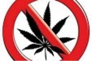 Billede af andragendet STOPT Cannabis Legalisierung!!