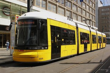 Bild der Petition Streichung des § 265a aus dem Strafgesetzbuch
