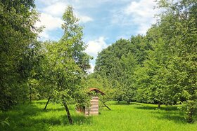 Bild der Petition: Streuobstwiese soll Retentionsbodenfilterbecken weichen im Nachtigallental Hüllhorst