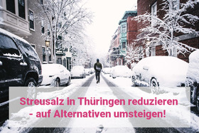 Bild der Petition: Streusalz in Thüringen drastisch reduzieren - auf Alternativen umsteigen!