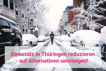 Bild der Petition Streusalz in Thüringen drastisch reduzieren - auf Alternativen umsteigen!