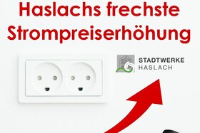 Bild der Petition: Strompreise in Haslach senken - Stadtwerke energieautark ausbauen!