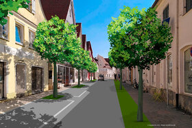 Bild der Petition: Substanzielle Begrünung der Drehergasse in Nördlingen mit Stadtbäumen