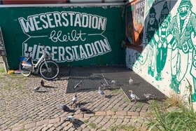 Imagen de la petición: Taubenfütterungsverbot in der Östlichen Vorstadt