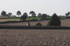Dilekçenin resmi:Teilung von Landwirtschaftlichen Flächen durch Hecken (Knicks) ab einer bestimmten Grösse