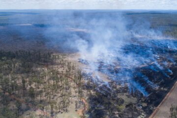 Image of the petition Tell EU and UK leaders: stop the financing of deforestation in Australia