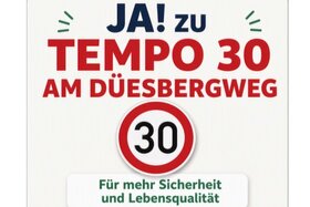 Bild der Petition: Tempo 30 auf dem Düesbergweg in Münster für mehr Sicherheit, Lärmschutz und Lebensqualität