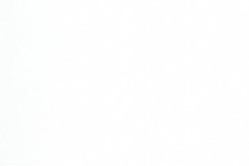 Bild der Petition Test