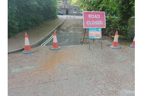 Image of the petition: The poetry collection berried in the grove HIGHGATE must be dug up and analyzed