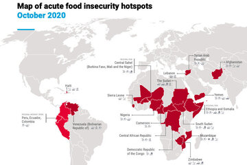 Imagem da petição The Right to Food Pledge