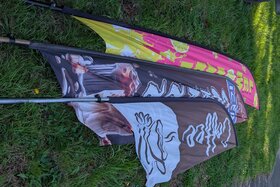 Image of the petition: The Roanoke city charter needs an amendment to allow small businesses to use feather flags