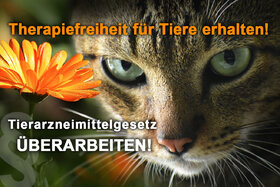 Foto van de petitie:Therapiefreiheit für Tiere erhalten – Tierarzneimittelgesetz überarbeiten!