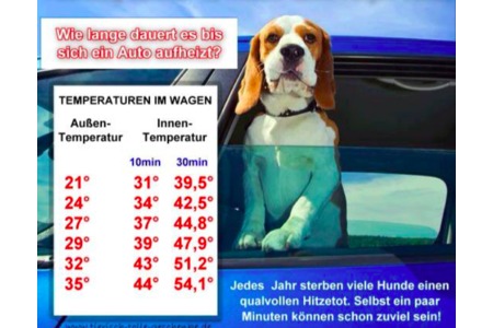 Poza petiției:Tiere bei Hitze im Auto eingesperrt - strafrechtliche Verfolgung und TIERHALTEVERBOT !!!