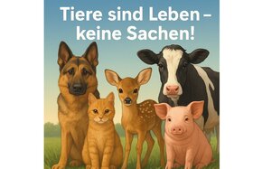 Bild der Petition: Tiere sind keine Sachen – Für ein Ende der Tierquälerei in Deutschland