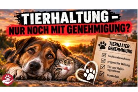 Bild der Petition: „Tierhaltergenehmigung einführen – Verantwortung vor der Anschaffung“