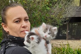 Beeld van die petisie: Tierheim Eisenberg darf nicht geschlossen werden!!!