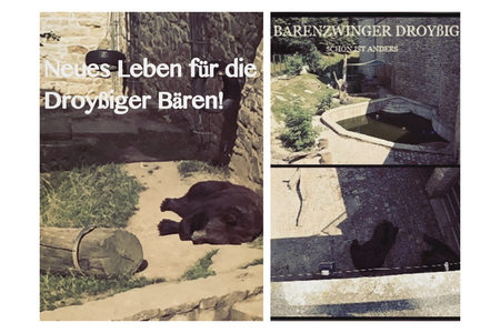 Bild der Petition: Animal Lovers - New life for the two bears Aiko & Toni