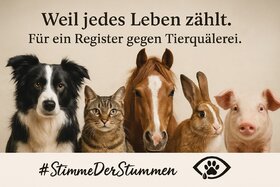 Picture of the petition:Tierquäler stoppen – Für ein zentrales Register für Tierhalteverbote in Deutschland!