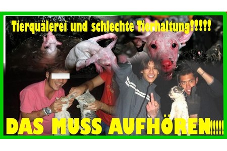 Снимка на петицията:Tierqualerei Weltweit unter Strafe stellen / punish animal cruelty worldwide