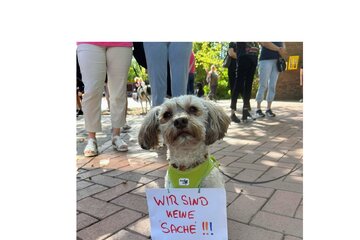 Imaginea petiției Tierschutz Sünderkartei für Tierquäler ‼️