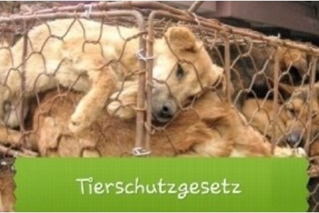 Kép a petícióról:Tierschutzgesetz verschärfen