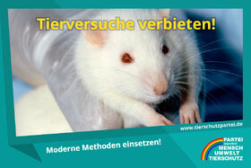 Imagen de la petición:Tierversuche verbieten, moderne Methoden einsetzen!