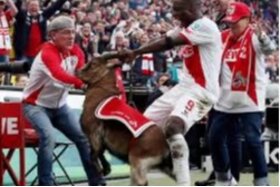 Bild der Petition: Tierwohl statt Tradition – Hennes in den Ruhestand