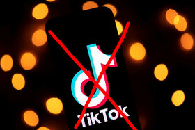 Bild der Petition: TikTok Verbot in Deutschland!