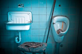 Photo de la pétition :Toiletten-Steine verbieten! Täglich landen Unmengen von Säure in unseren Gewässern + vergiften sie!