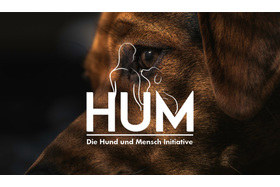 Bild der Petition: Tor für die Hundewiese in der Orangerie in Darmstadt