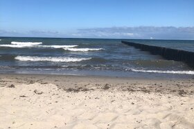 Image of the petition: Treppen ans Meer - Für den schnellen Erhalt unserer Strandzugänge im Ostseebad Nienhagen