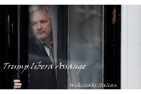 Снимка на петицията:Trump libera Assange