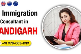 Зображення петиції: Trusted Visa Consultants in Chandigarh for Aspiring Students