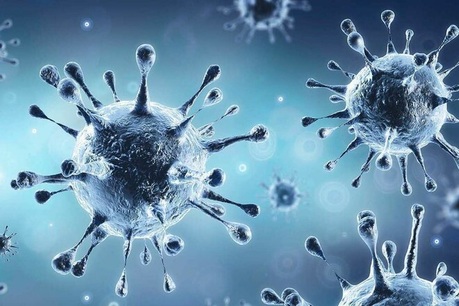 Obrázek petice Türkis & Grün muß weg