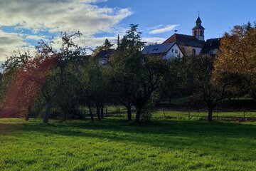 Bild der Petition Tutschfelder Streuobstwiese erhalten und nicht bebauen - #SchörliBleibt