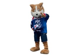 Bild der Petition: "UDO" als Stofftier-Maskottchen für die Fans der Adler Mannheim