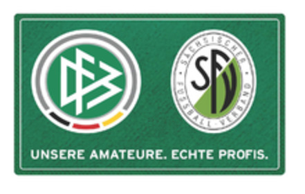 Foto e peticionit:Überarbeitung des § 34, Abschnitt 15, Absatz a)-i) R.-u.VfO. des Sächsischen Fußball-Verband